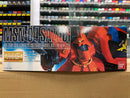 MG 1/100 MSN-04 Sazabi Neo Zeon Char Aznable's Use Mobile Suit for Newtype
