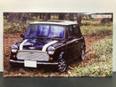 RS-3 Old Mini Cooper 1.3i