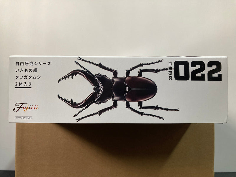 Free Investigation No. 022 Biology Edition Stag Beetle