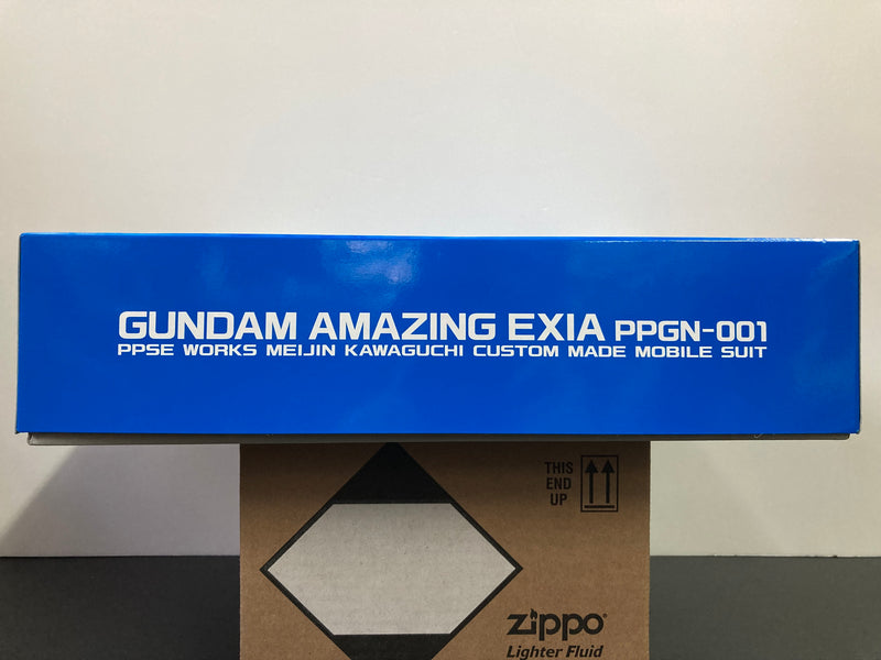 MG 1/100 Gundam Amazing Exia PPGN-001 PPSE Works Meijin Kawaguchi Custom Made Mobile Suit