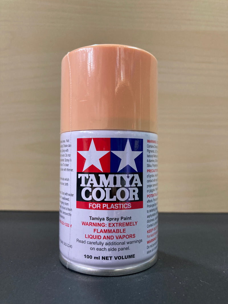 TS Colour Spray for Plastics TS-41 ~ TS-80 油性硝基漆 - 噴罐 (100 ml)